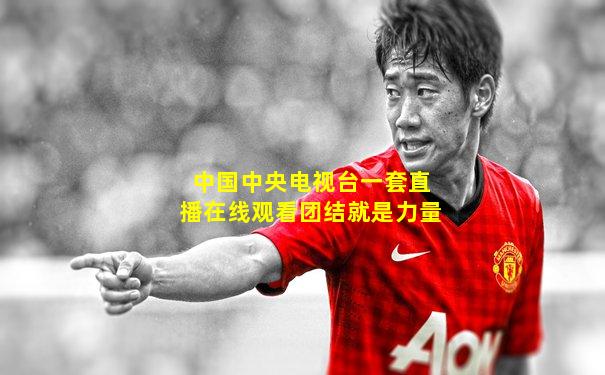 中国中央电视台一套直播在线观看团结就是力量