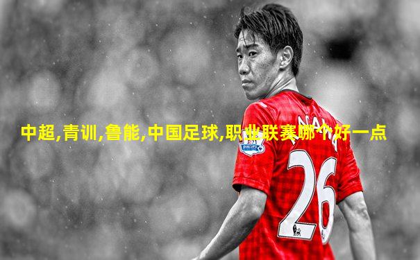 中超,青训,鲁能,中国足球,职业联赛哪个好一点