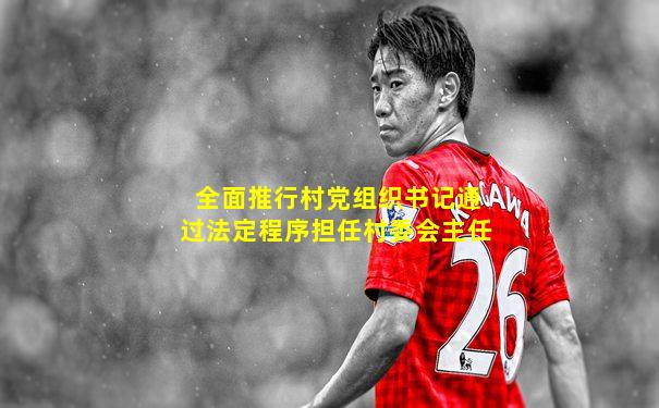 全面推行村党组织书记通过法定程序担任村委会主任