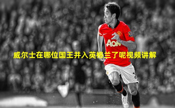 威尔士在哪位国王并入英格兰了呢视频讲解