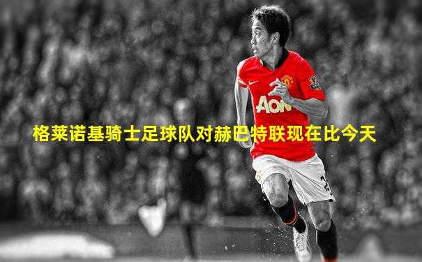 格莱诺基骑士足球队对赫巴特联现在比今天