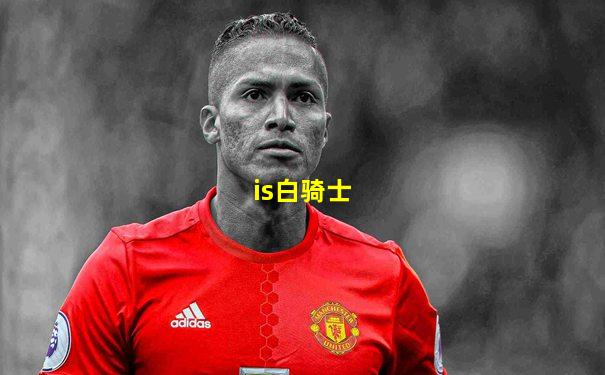 is白骑士