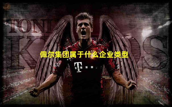 佩尔集团属于什么企业类型