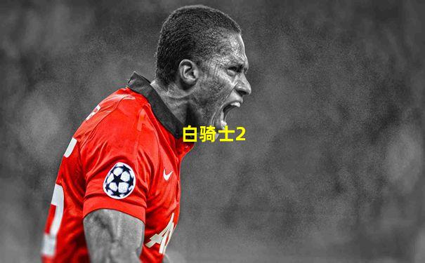 白骑士2